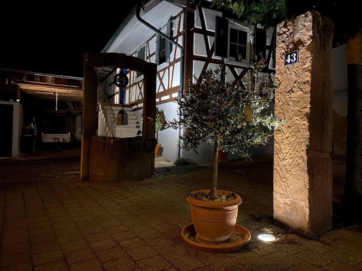 Апартаменты Traumhaft Wohnen Im Haus Blum Хербольцхайм Экстерьер фото