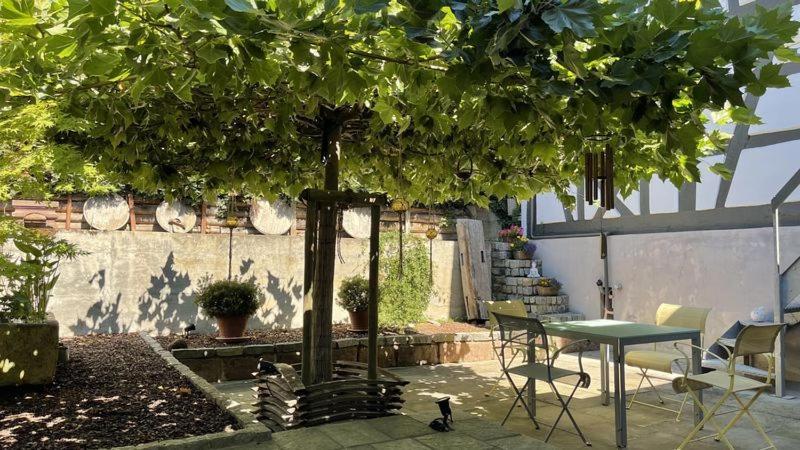Апартаменты Traumhaft Wohnen Im Haus Blum Хербольцхайм Экстерьер фото